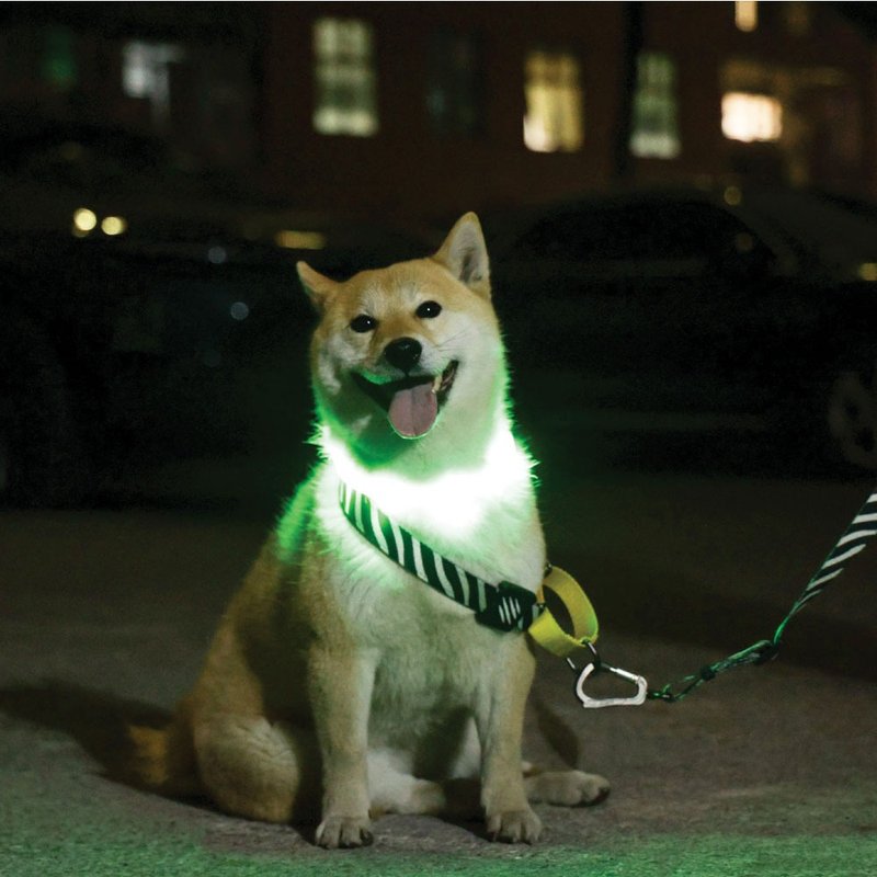 【MPETS】來場夜晚繽紛Party! 犬用LED發光項圈 - 項圈/牽繩 - 其他材質 多色