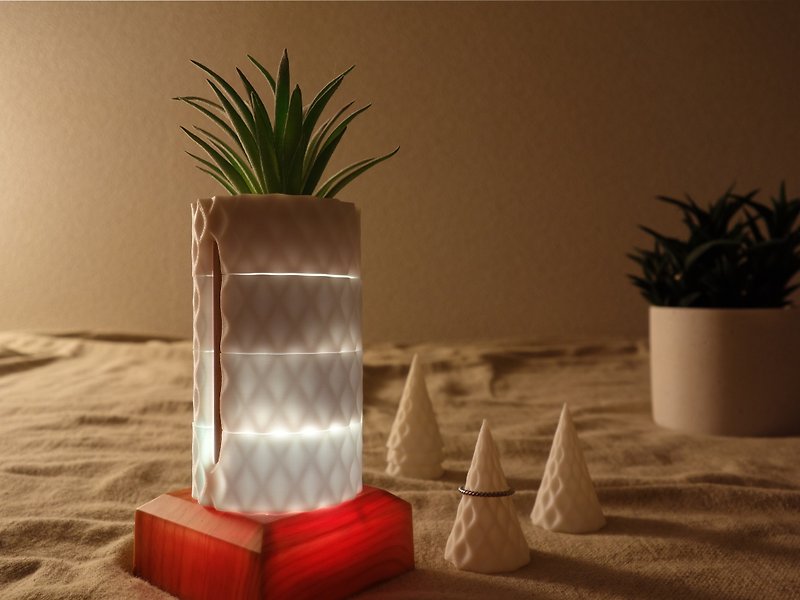 Fake Plants and Accessories Case, Ring Stand, LED Base, Geometric Diamond - Storage - Eco-Friendly Materials White