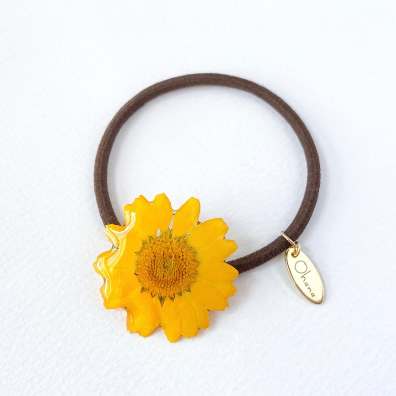 真花│黃色雛菊髮圈【Sunshine of the DAISY】Higure - 髮夾/髮圈 - 植物．花 黃色