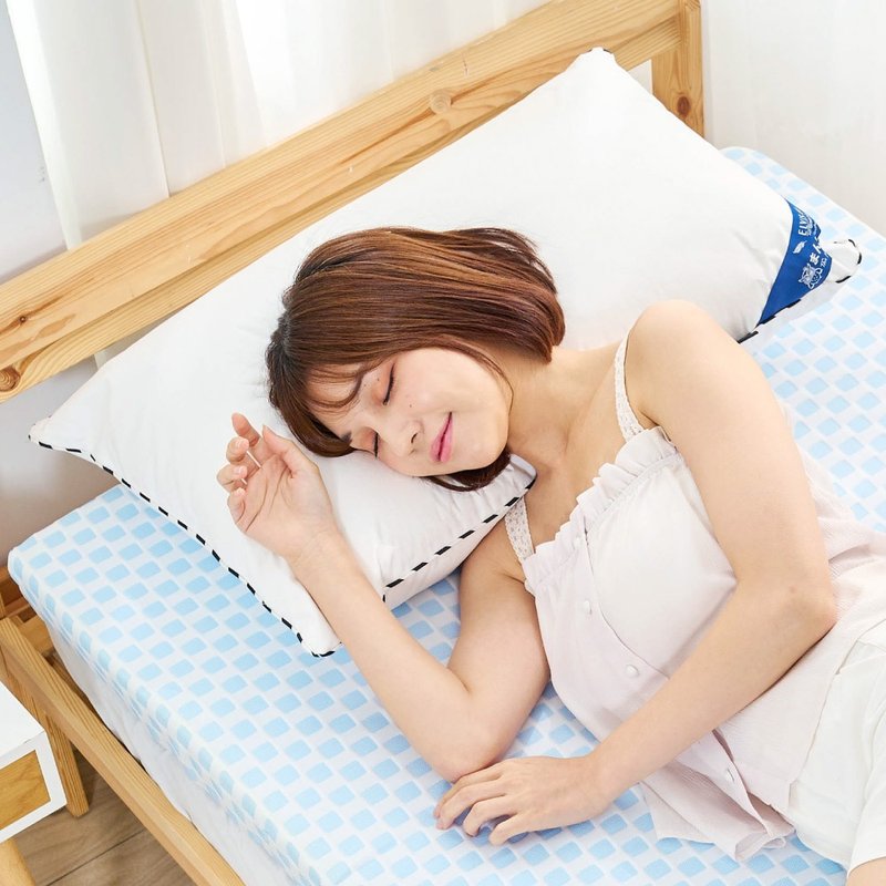 ELVIS 愛菲斯-德國魯道夫防螨石墨烯枕芯 - 枕頭/抱枕 - 其他材質 