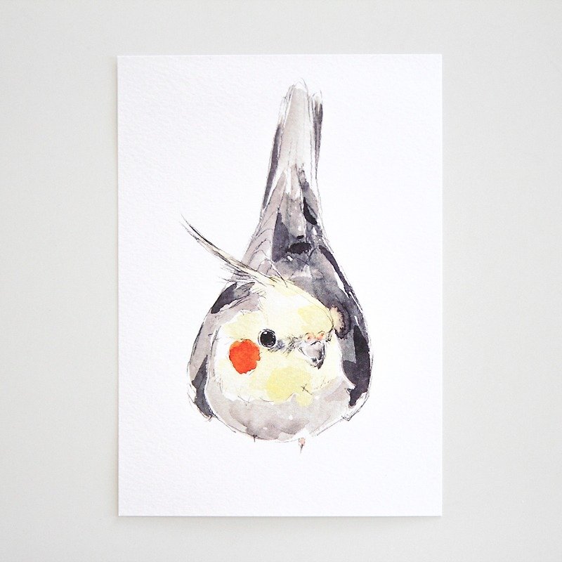‧ ‧ million birds postcard card ‧0027 - Cards & Postcards - Paper 