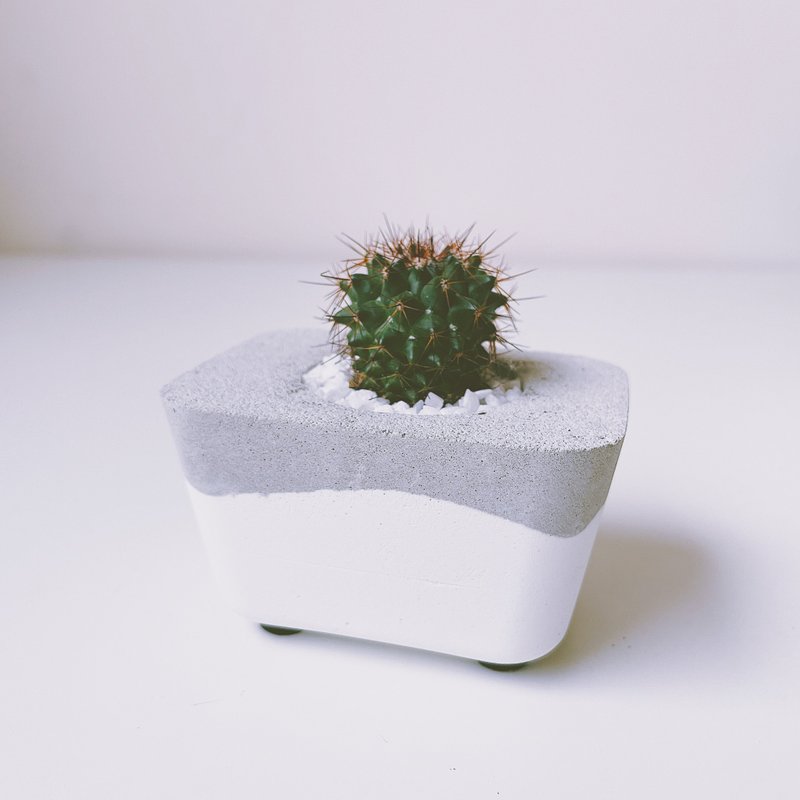 Succulent Small Bathtub Cement Potted Plant Valentine's Day Gift - ตกแต่งต้นไม้ - ปูน สีเทา