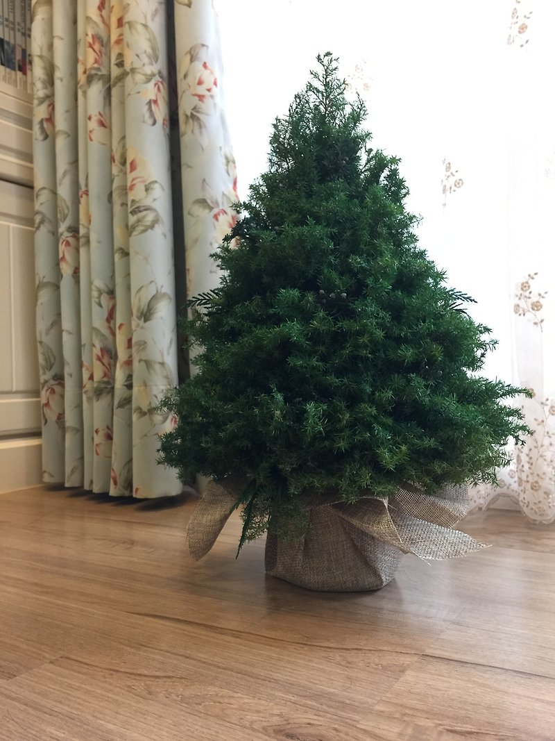 エバーラスティングシダークリスマスツリー45〜50cmデコレーション付き - 置物 - 寄せ植え・花 