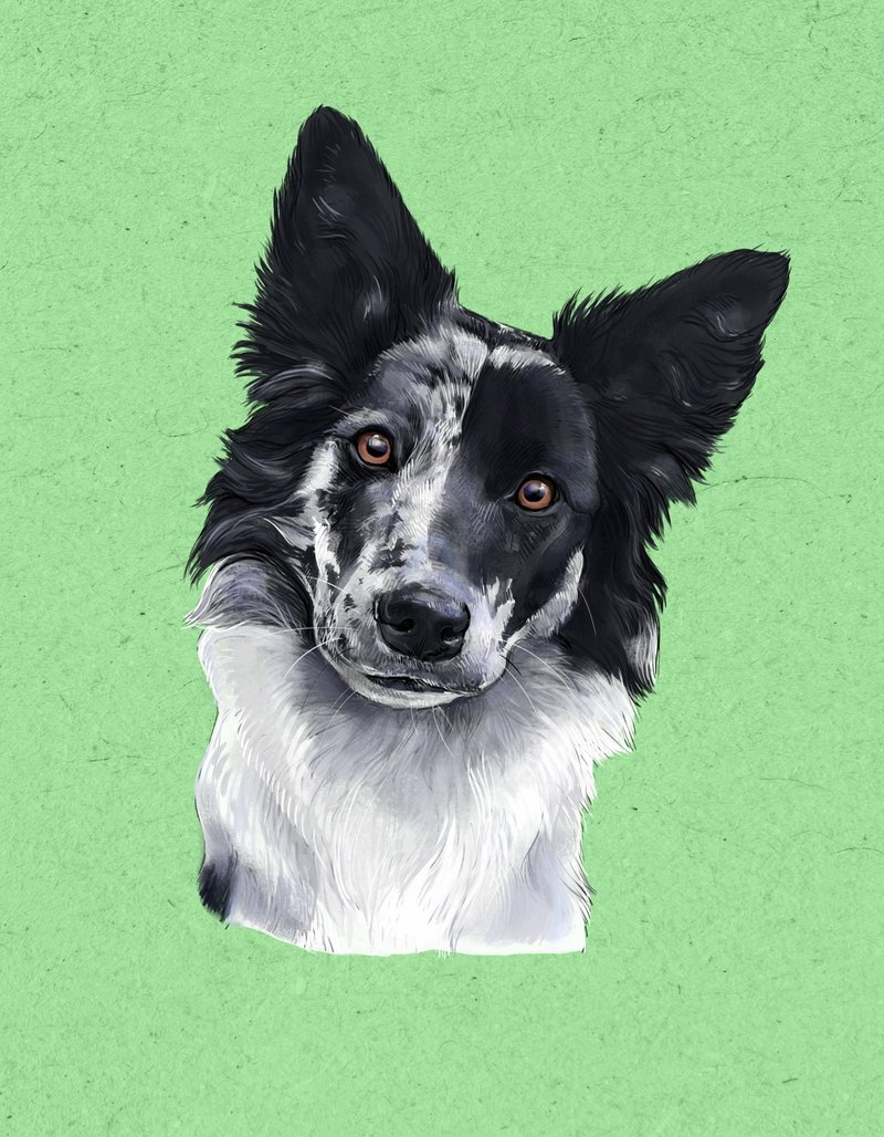 Super realistic and detailed Custom Digital Portrait Dog - Personalized dog art - 電子似顏繪/繪畫/插畫 - 其他材質 