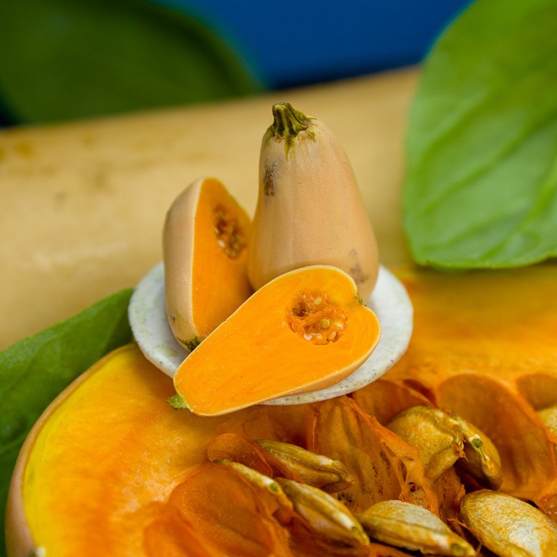 TUTORIAL Miniature bottle pumpkin / miniature butternut squash polymer clay - 手工藝教學/工具書 - 其他材質 
