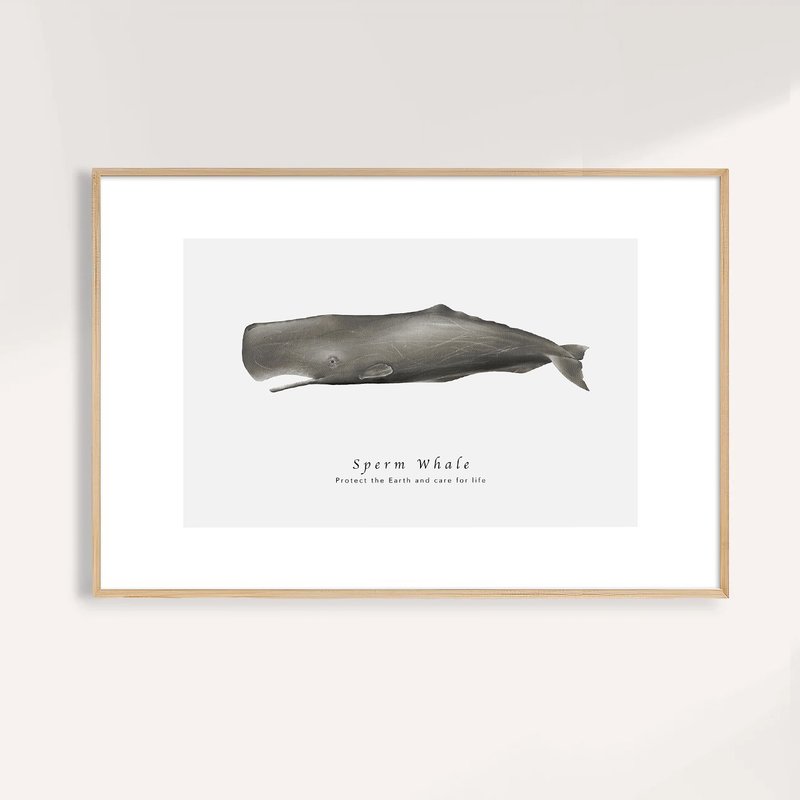 抹香鯨 Sperm Whale / 海洋動物插畫掛畫 / 藝術無框輸出 - 海報/掛畫/掛布 - 紙 