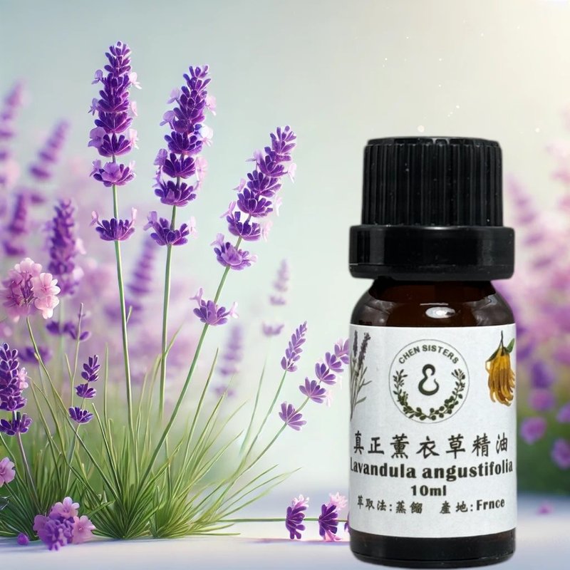 100%純天然薰衣草 舒緩放鬆  天然純正香氛之選 贈玫瑰擴香石 - 香氛/精油/擴香 - 精油 白色