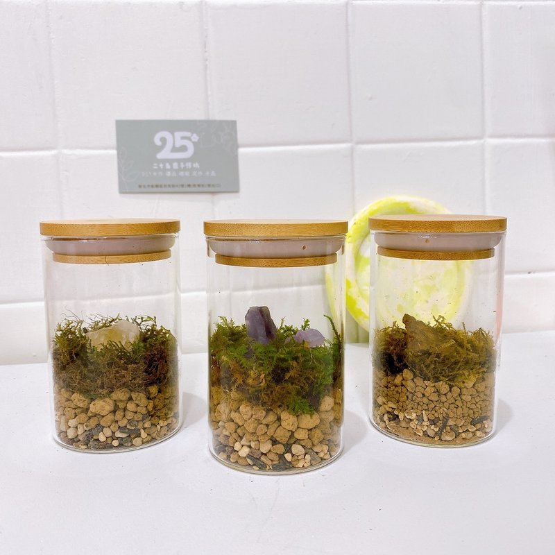 水晶苔蘚生態瓶 生態瓶 微景觀 水晶盆景 辦公室小物 植栽 綠植 - 盆栽/植栽 - 植物．花 透明