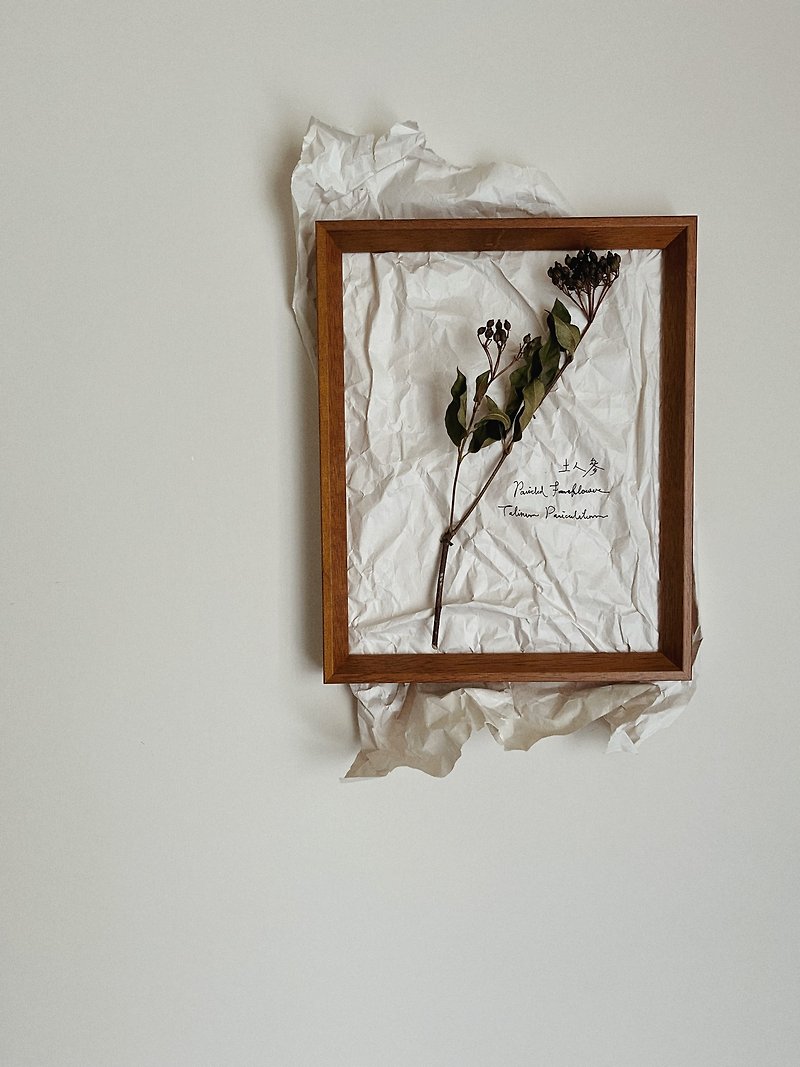 Natural dried flower & Paper & Frame∣Dicranopteris linearis - Items for Display - Plants & Flowers 