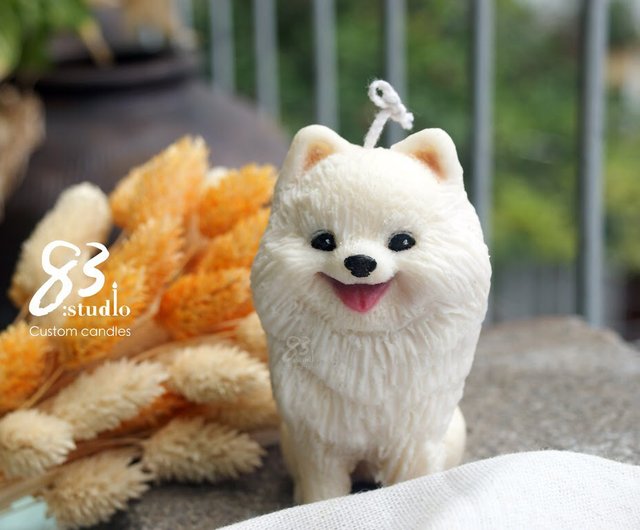 Pomeranian shop accessories shop