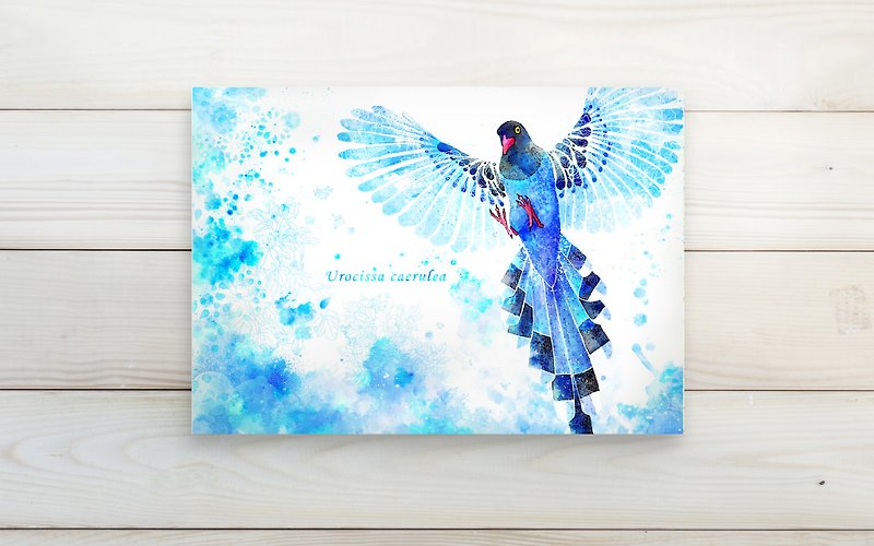 Taiwan bird Taiwan blue magpie / single postcard postcard - การ์ด/โปสการ์ด - กระดาษ 
