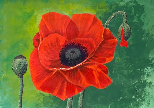 vernissage-VG-galery Red poppy on a green field. Painting Gouache.