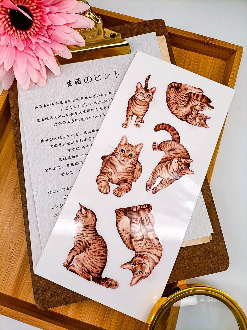 5K062_五口美 _虎斑之願_Tabby Cat C/Transfer Stickers - Stickers - Other Materials Multicolor