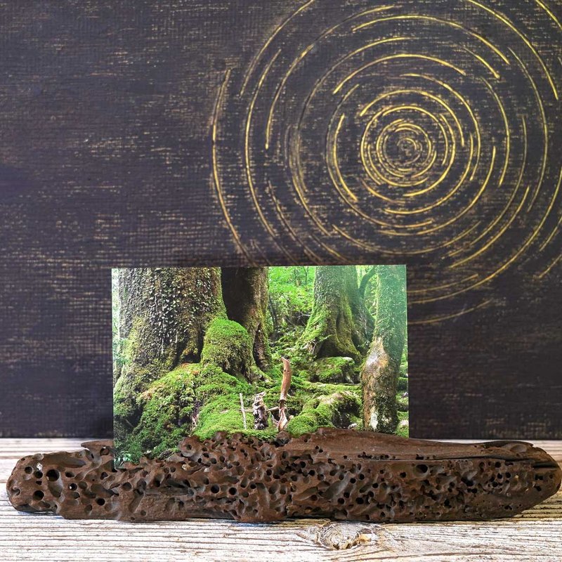 流木フォトスタンド　Picture Frame　写真立て　wood frame　流木アート　wood interior　natural art　１6 - 相框/畫框 - 木頭 咖啡色