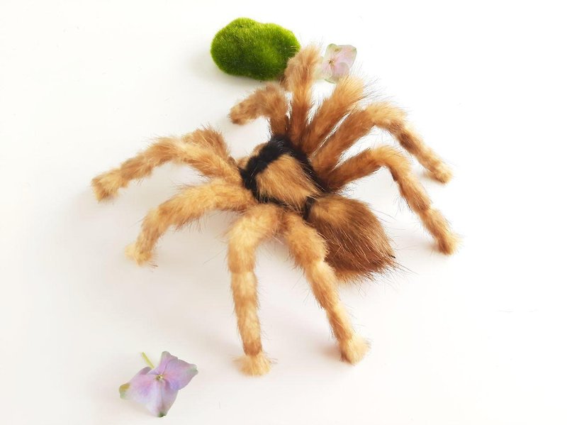 Realistic Tarantula Spider Wall Mount Home Decor Insect Toy Posable Art Doll - 牆貼/牆身裝飾 - 真皮 