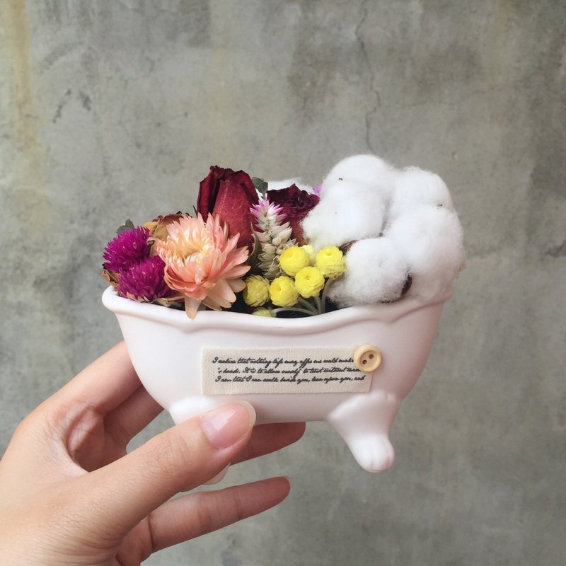 乾燥花花束 浴缸造型 棉花 現貨 - 盆栽/植栽 - 植物．花 白色
