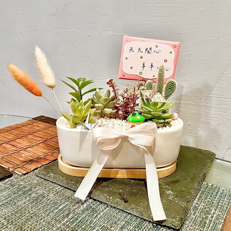 台中市 多肉植物 多肉組盆 盆栽送禮 花藝 日式盆栽 客製化送禮 - 盆栽/植栽 - 植物．花 綠色