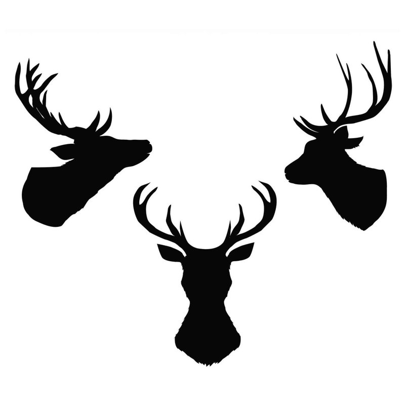 Deer head svg, stag head svg, deer head pdf, stag head pdf, deer head template - 圖文模板設計 - 其他材質 