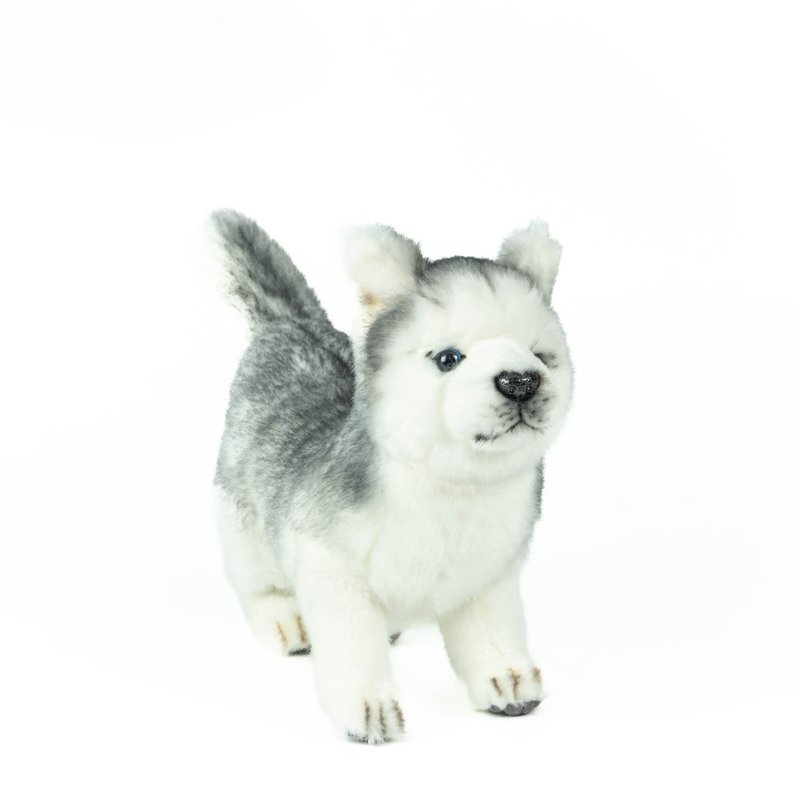 Hansa 8569-Shiki puppy sitting position 28 cm long - ตุ๊กตา - วัสดุอีโค สีเทา