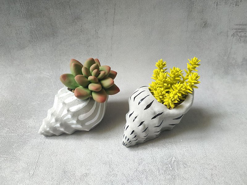 Ocean Wind-Clay Succulents-Hand Painted Wind Cement Conch Basin - ตกแต่งต้นไม้ - ปูน สีเทา