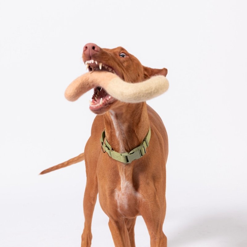 AWOO Noodle Felt Toy for dog enrichment dog toys - ของเล่นสัตว์ - ขนแกะ 
