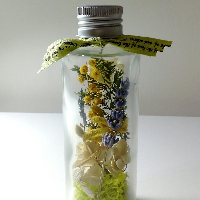 近畿手作りのボトルフラワーシリーズ：夏の小さなマイクロ風景光の新しい制限された植物標本 - 観葉植物 - 寄せ植え・花 イエロー