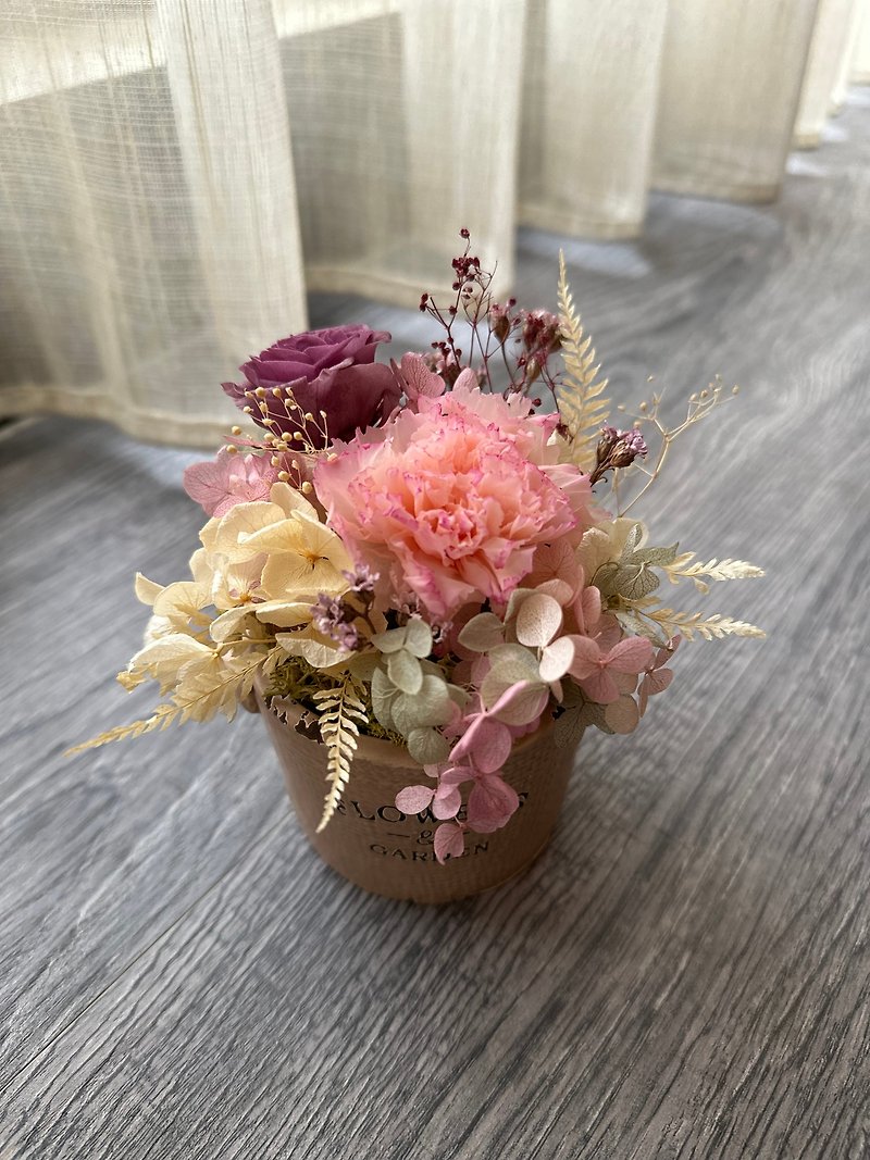 carnation potted flower - ช่อดอกไม้แห้ง - พืช/ดอกไม้ สึชมพู