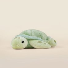 Mini Bellzi  | Sea Torti 小海龜玩偶