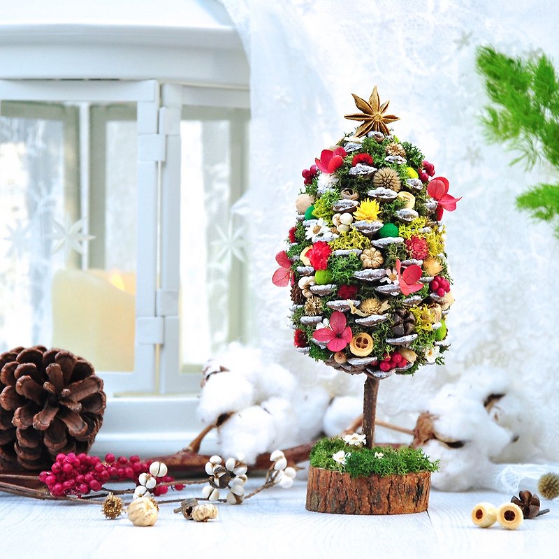 Ping Shui Meets X Shake Happiness Hsinchu Joint Floral Course - Pinecone Christmas Tree / Christmas Fruit Wreath - จัดดอกไม้/ต้นไม้ - พืช/ดอกไม้ ขาว