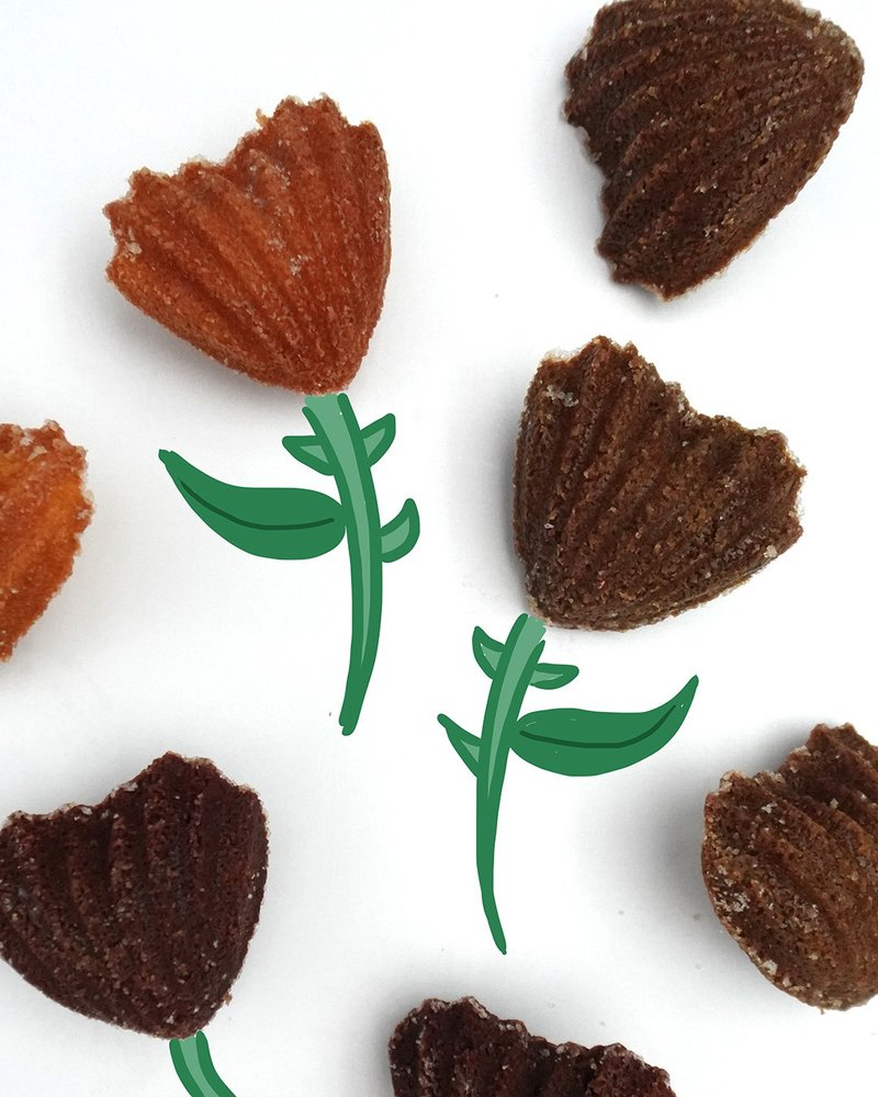 【desertLAND】沙漠玫瑰瑪德蓮禮盒 (8入) - 蛋糕/甜點 - 其他材質 