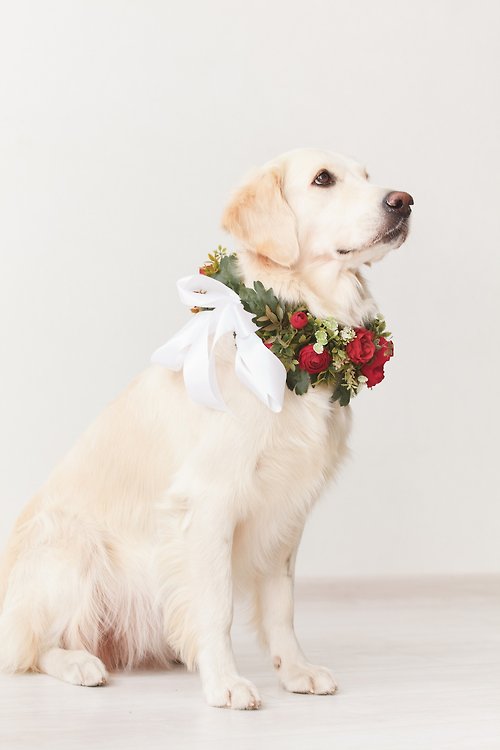 HACRAHO 犬の結婚式の首輪, 2 個花犬の結婚式の花輪の首輪とヘアクリップポータブル犬の首輪子犬の首輪アクセサリー誕生日ウェディングギフト
