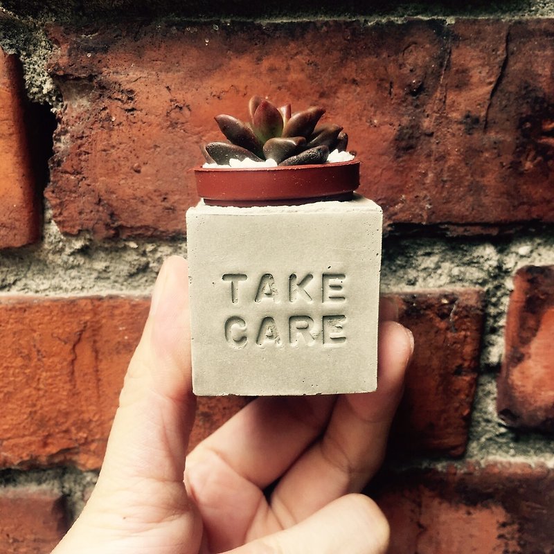 Take care 💪~! Magnet succulent potted plant - ตกแต่งต้นไม้ - ปูน สีเทา