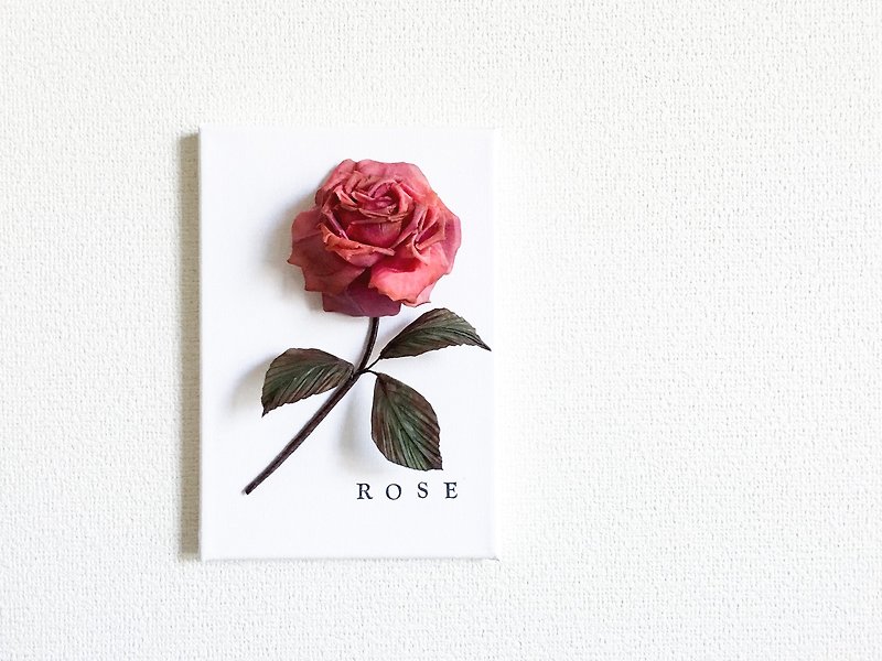 染花標本 : ROSE <赤薔薇> - 裝飾/擺設  - 聚酯纖維 紅色