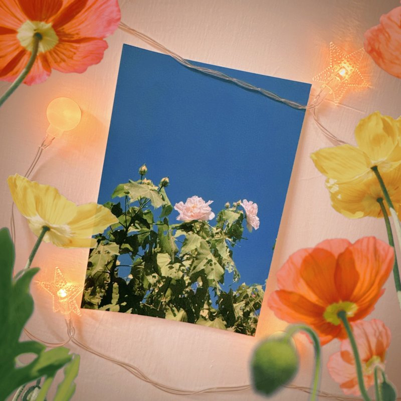 have a nice day台灣趣明信片/酷卡/樟山寺花花 - 卡片/明信片 - 紙 多色