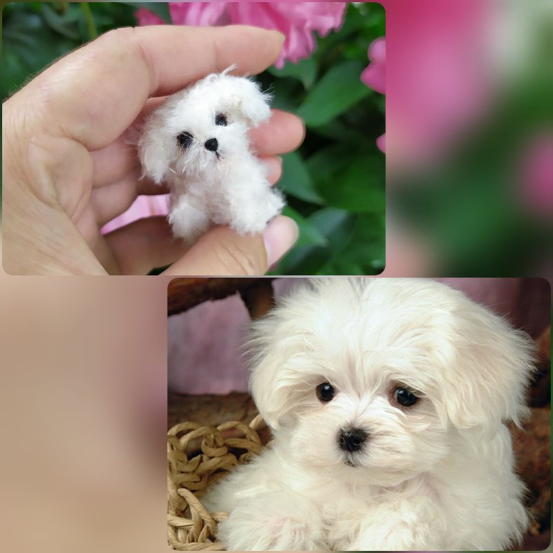 Miniature realistic custom dog life like puppy ooak pet replica 1 to 6 scale toy - Knitting, Embroidery, Felted Wool & Sewing - Thread Multicolor