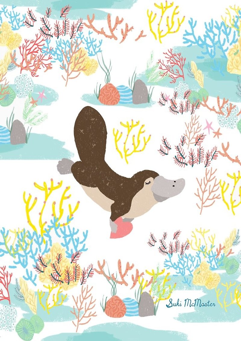 Wall Print - Platypus - Items for Display - Paper Multicolor