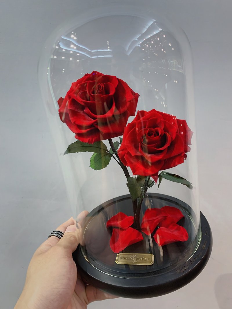 情人節花禮 / 農園雙朵玫瑰 只想照顧你 - 乾花/永生花 - 植物．花 紅色