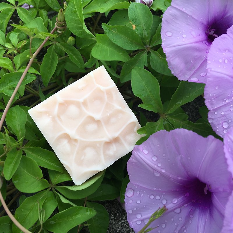 Aloe Soap Soap - Facial Cleansers & Makeup Removers - Plants & Flowers White