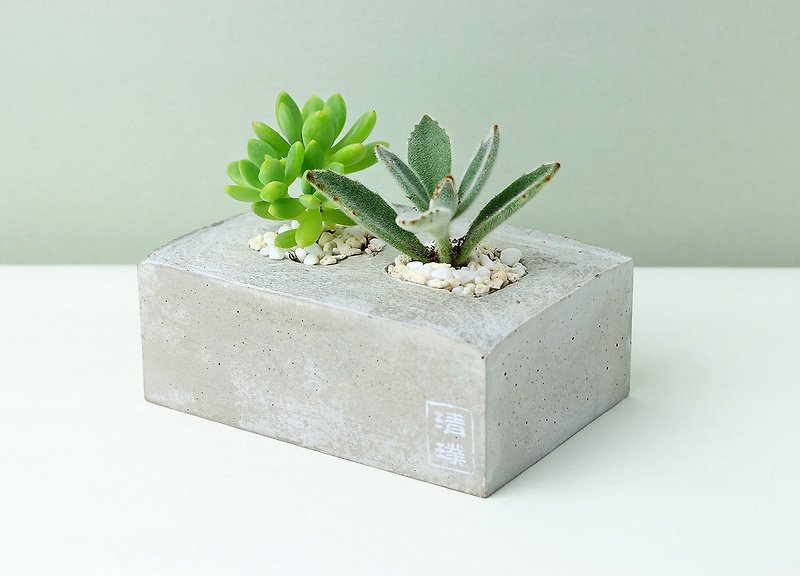 "Qing Pu Giken" succulents potted cactus plants / cement pots - Healing Gift series (side by side) - ตกแต่งต้นไม้ - พืช/ดอกไม้ สีแดง