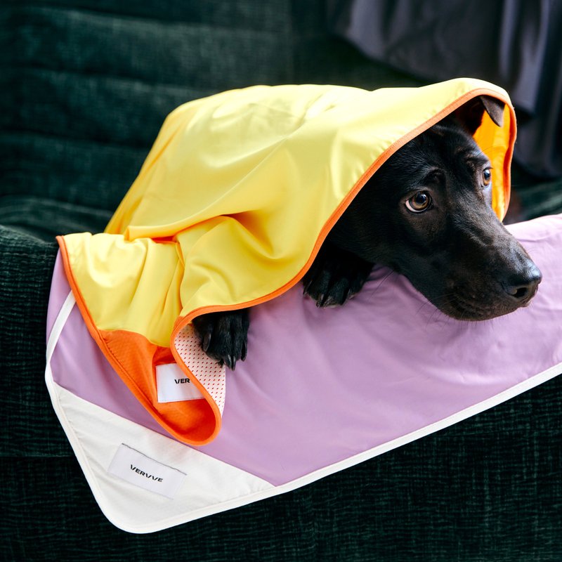 Soda - Cooling Mat - ชุดสัตว์เลี้ยง - วัสดุอื่นๆ 