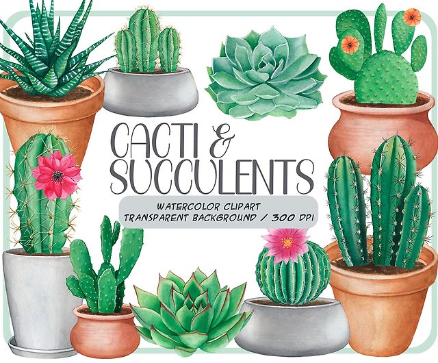 Watercolor cactus clipart set - succulents & cacti PNG - Shop ArtfulStudio  Illustration, Painting & Calligraphy - Pinkoi