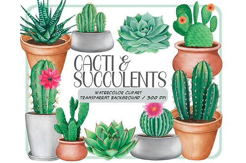 ArtfulStudio Watercolor cactus clipart set - succulents & cacti PNG