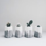 MINI CANELÉ 迷你可麗露 | 多肉/仙人掌鮮奶油水泥盆栽(含植物)