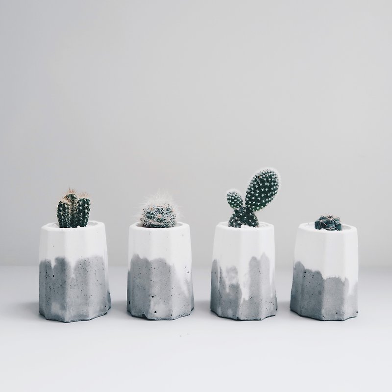 ปูน ตกแต่งต้นไม้ สีเทา - MINI CANELÉ | Christmas gift box・Succulent cactus fresh cream Cement potted plant