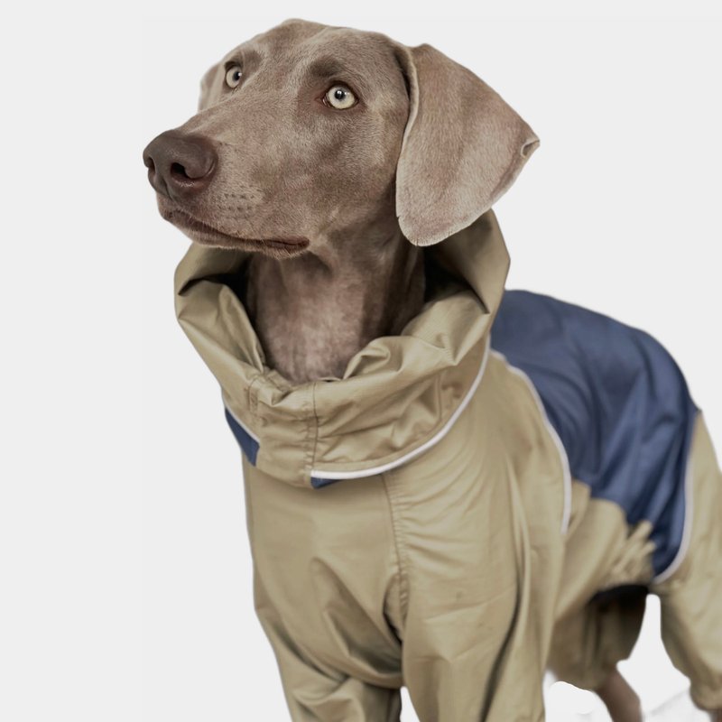 Dog Lightweight Windbreaker/ Outdoor Jacket With Legs/ 3M Reflective/ DWR/ Navy - Clothing & Accessories - Polyester Blue