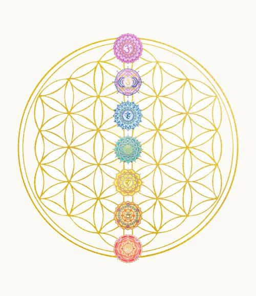 生死曼陀羅 Vicki_mandala | [生命之花｜曼陀羅🌺］ 一開始畫上紅色底色其實