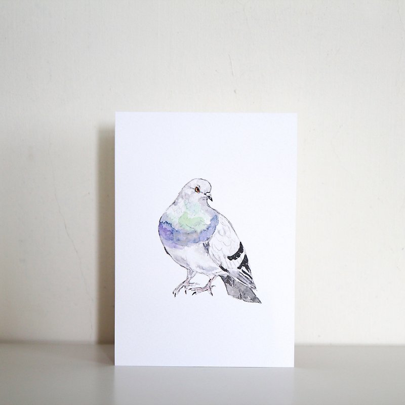 <ハト>鳥のポストカード - カード・はがき - 紙 