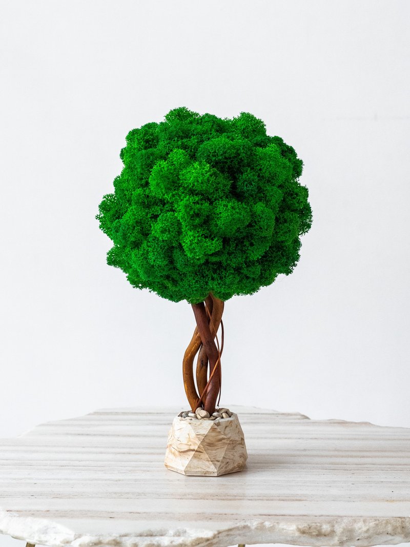 Moss tree, green decor, reindeer moss, decor for table, home decor - Plants - Plants & Flowers Green