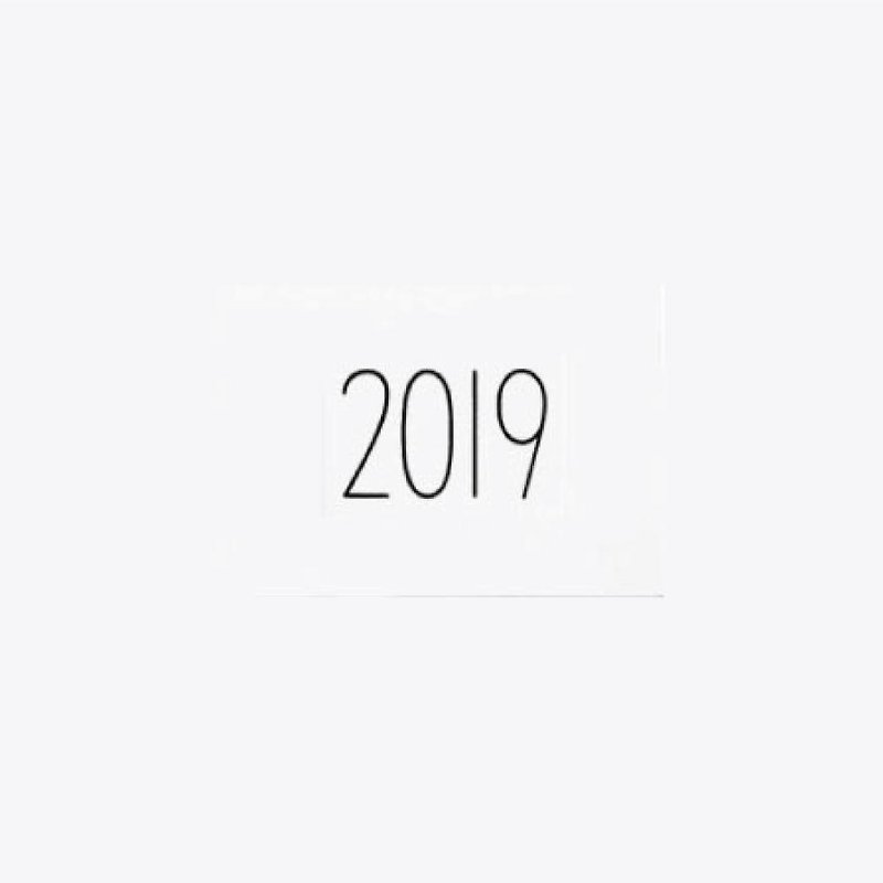 NORITAKE - SEE BY DAY 2019 (notebook) - 月曆/年曆/日曆 - 紙 白色