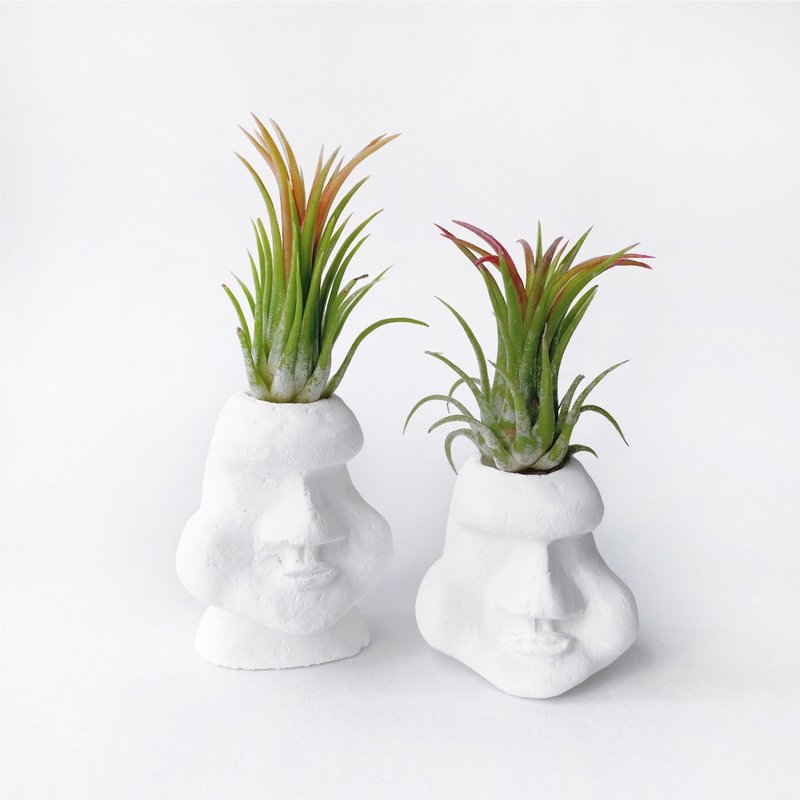 (Pre-Order) Limited | Fuguo Elf Air Pineapple can be matched with Moai Cement decoration - Plants - Plants & Flowers Gray